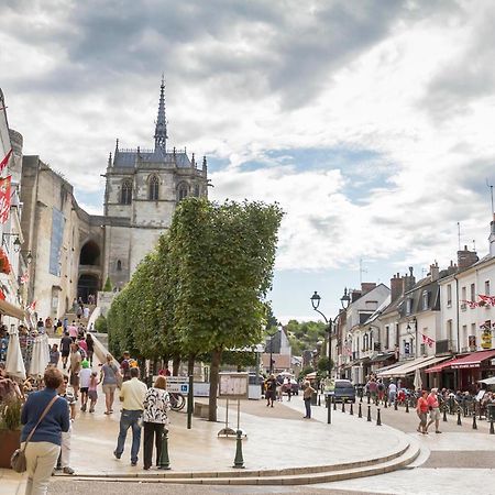 Terrasse Sur La Tour Garconnet Lejlighed Amboise Eksteriør billede