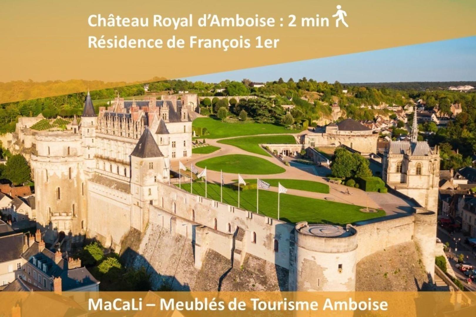 Terrasse Sur La Tour Garconnet Lejlighed Amboise Eksteriør billede