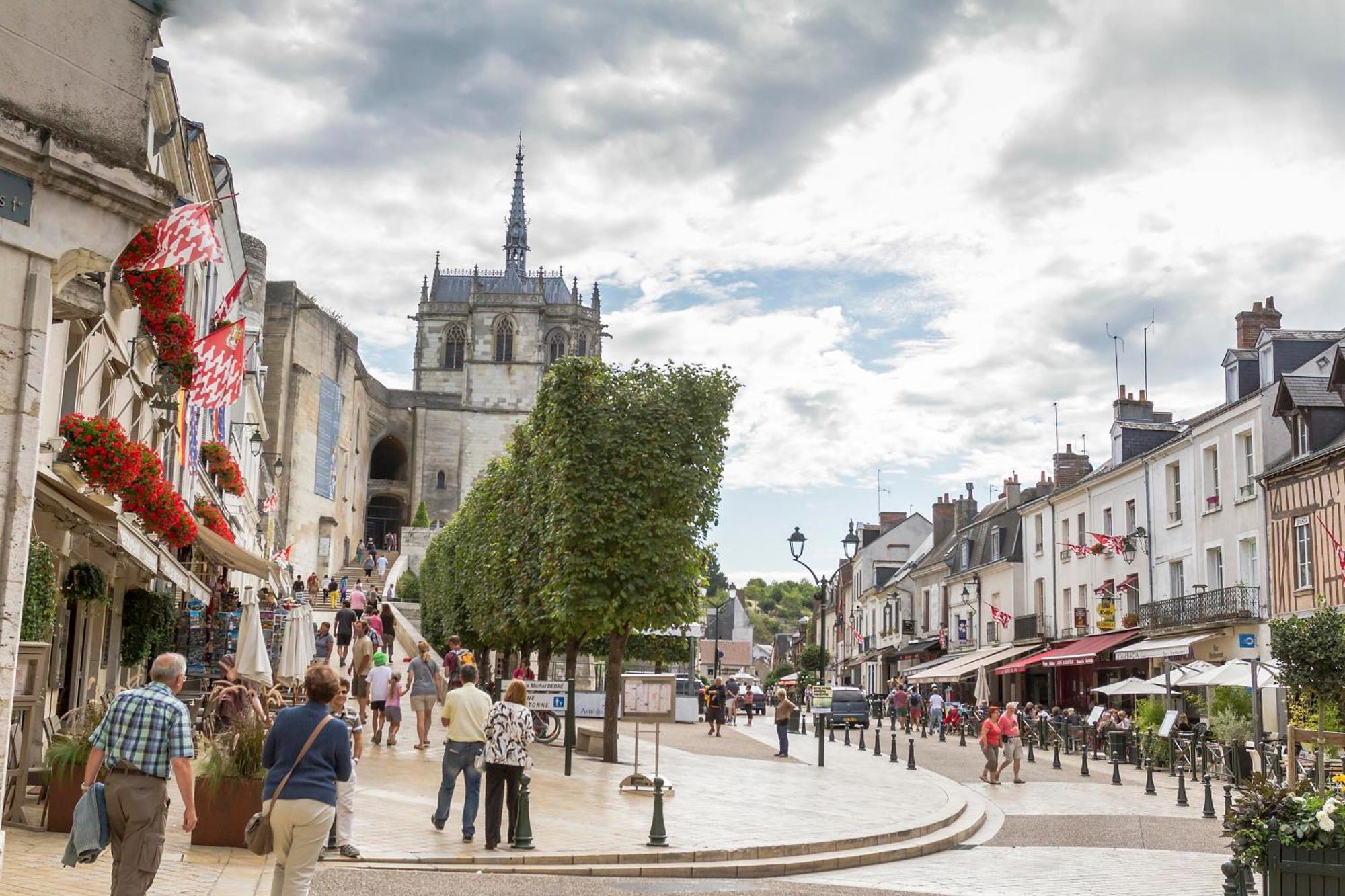 Terrasse Sur La Tour Garconnet Lejlighed Amboise Eksteriør billede