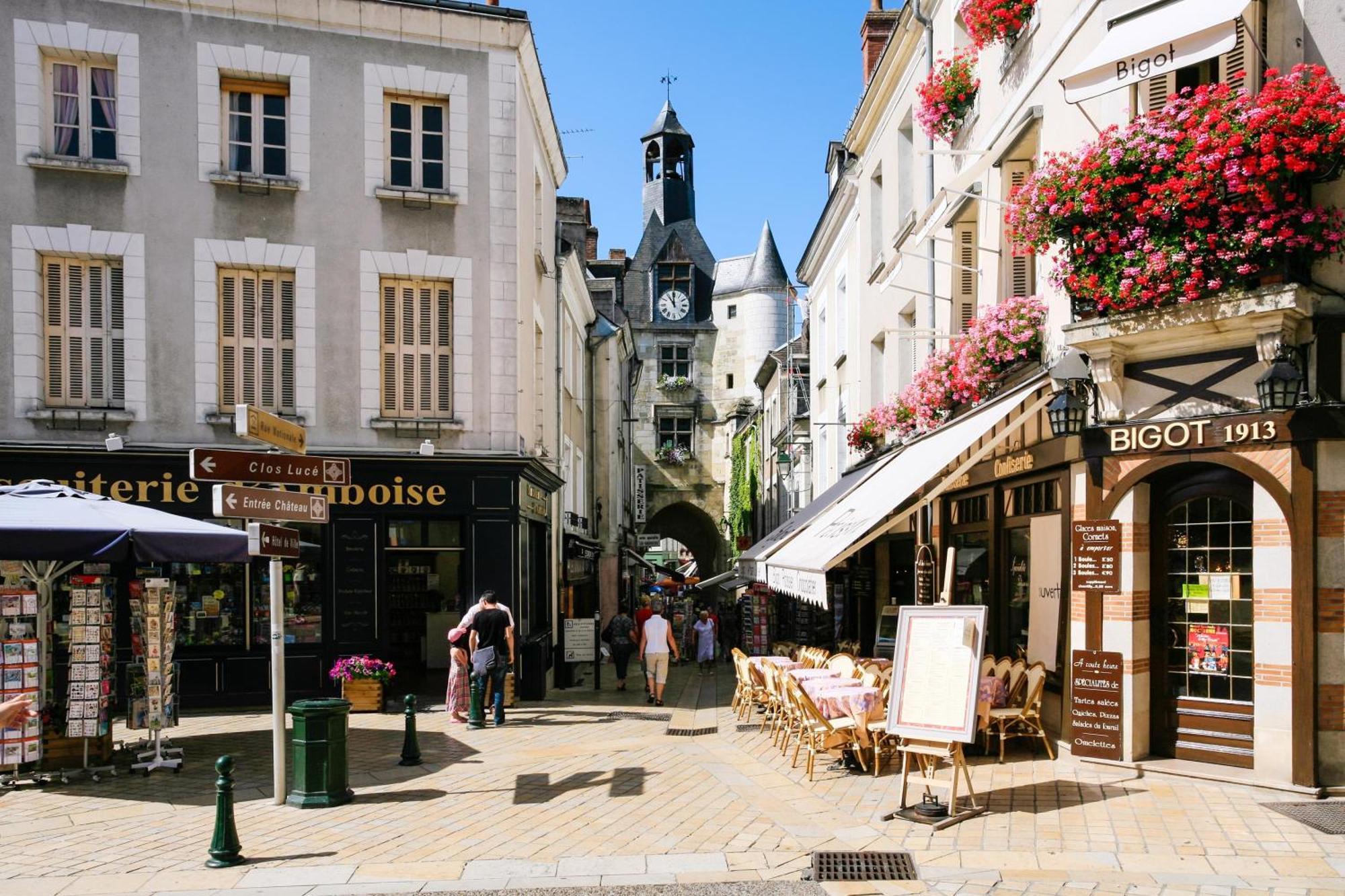 Terrasse Sur La Tour Garconnet Lejlighed Amboise Eksteriør billede